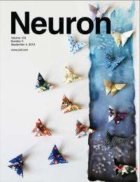 Neuron cover Volume 103, No.5